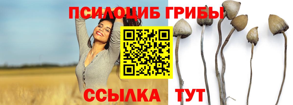 Галлюциногенные грибы прущие грибы Борзя